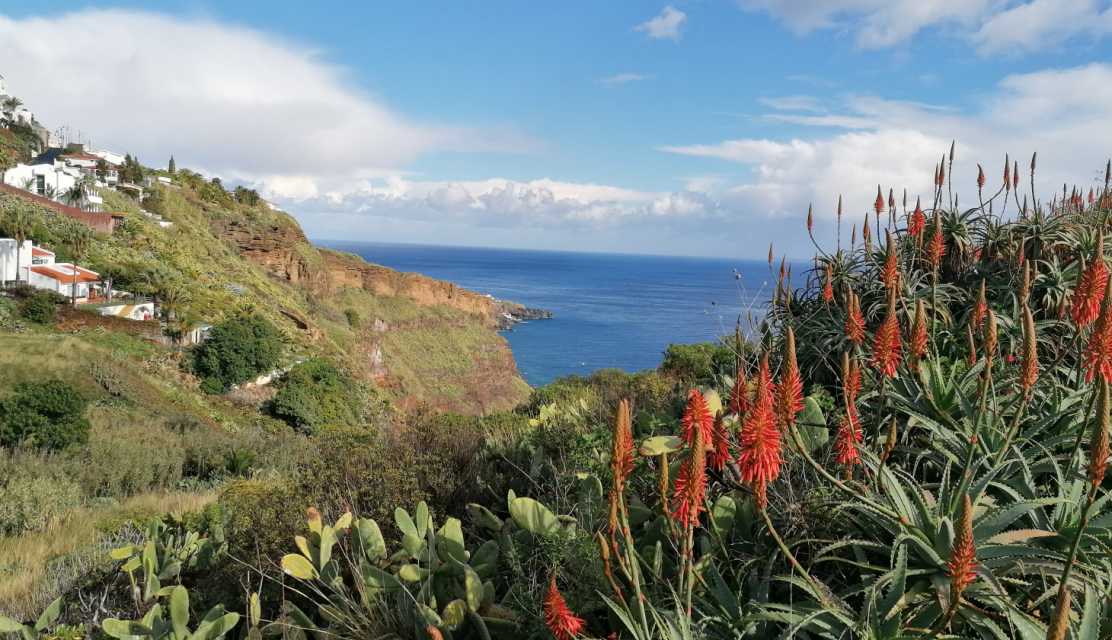 Madeira