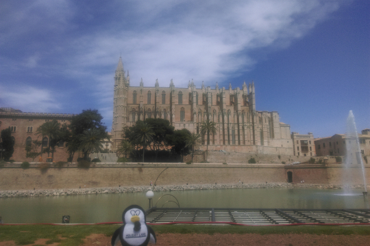 Begleitete_Gruppenreise_Mallorca_2026